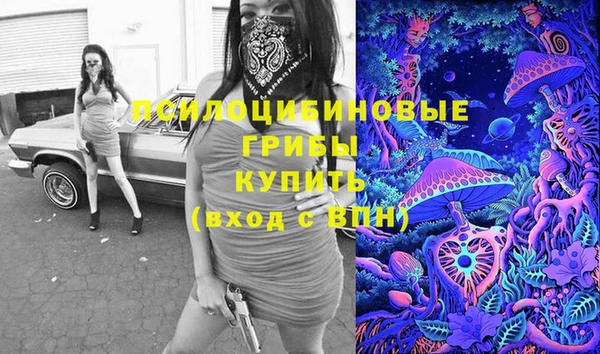 прущие крисы Верея
