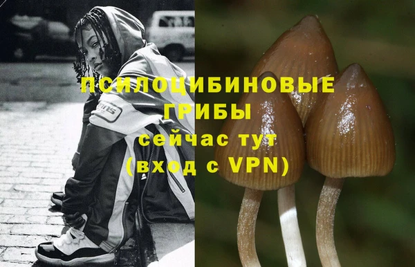 прущие крисы Верея