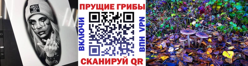 Галлюциногенные грибы ЛСД Братск